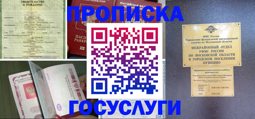 временная регистрация для всех в Нововоронеже
